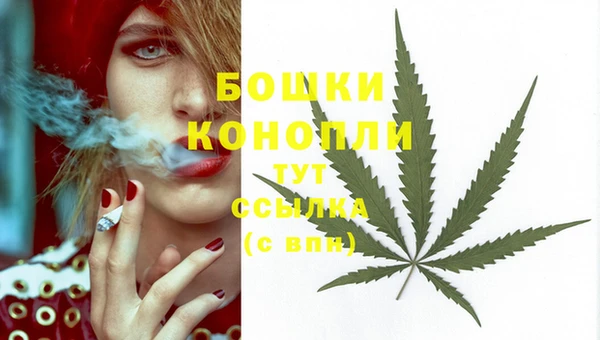 гидропоника Верея