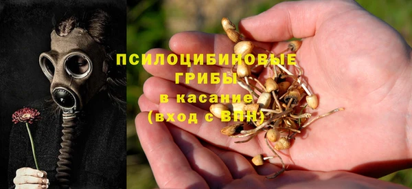 гидропоника Верея