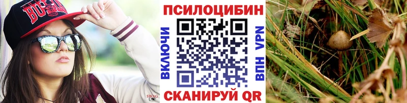 блэк спрут онион  Архангельск  Галлюциногенные грибы Psilocybine cubensis  закладка 